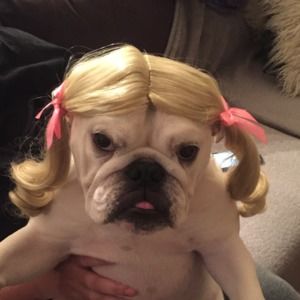 Meet your Posher, Denise